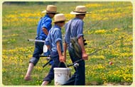 Ohio Amish Country - Akron, Ohio